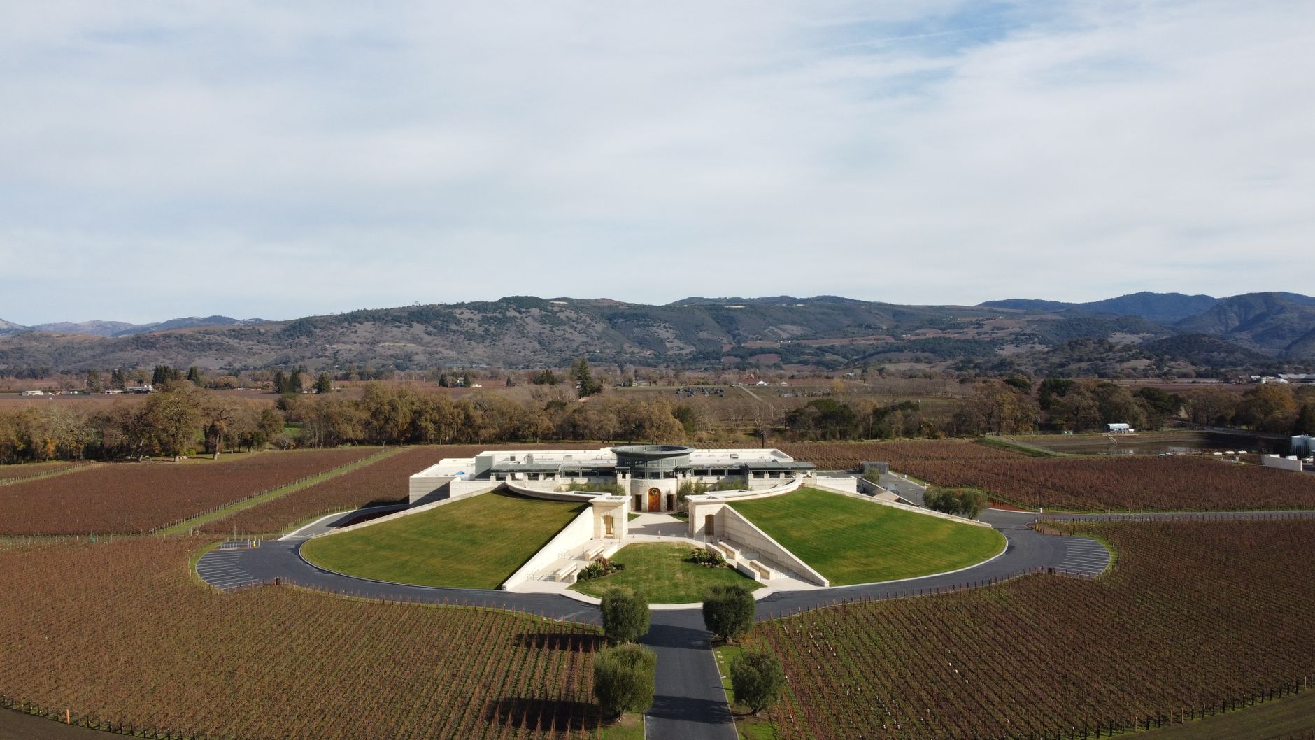 Aerial view across a Napa Valley vineyard landscape