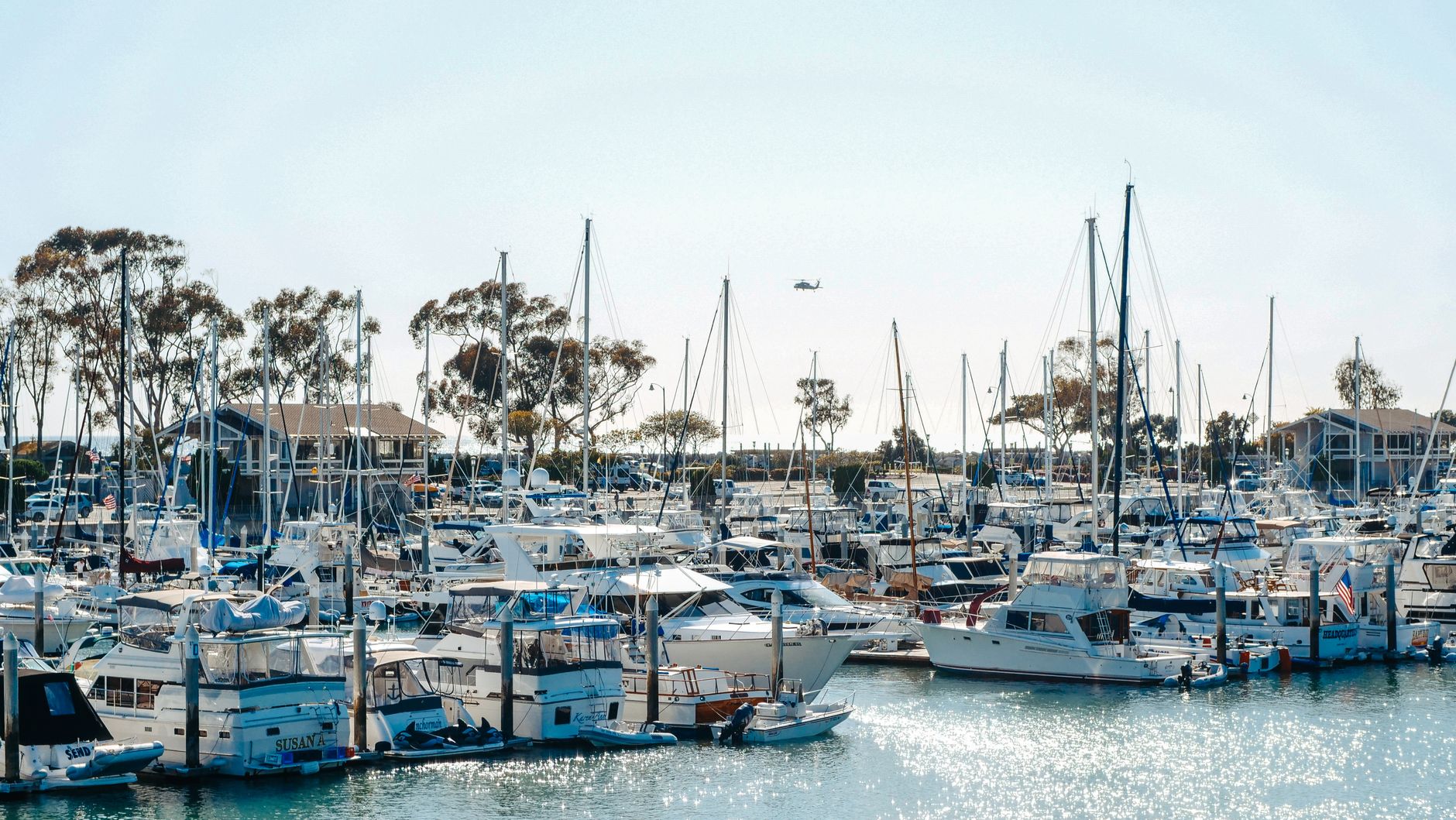 A calm Northern California marina with sailboats