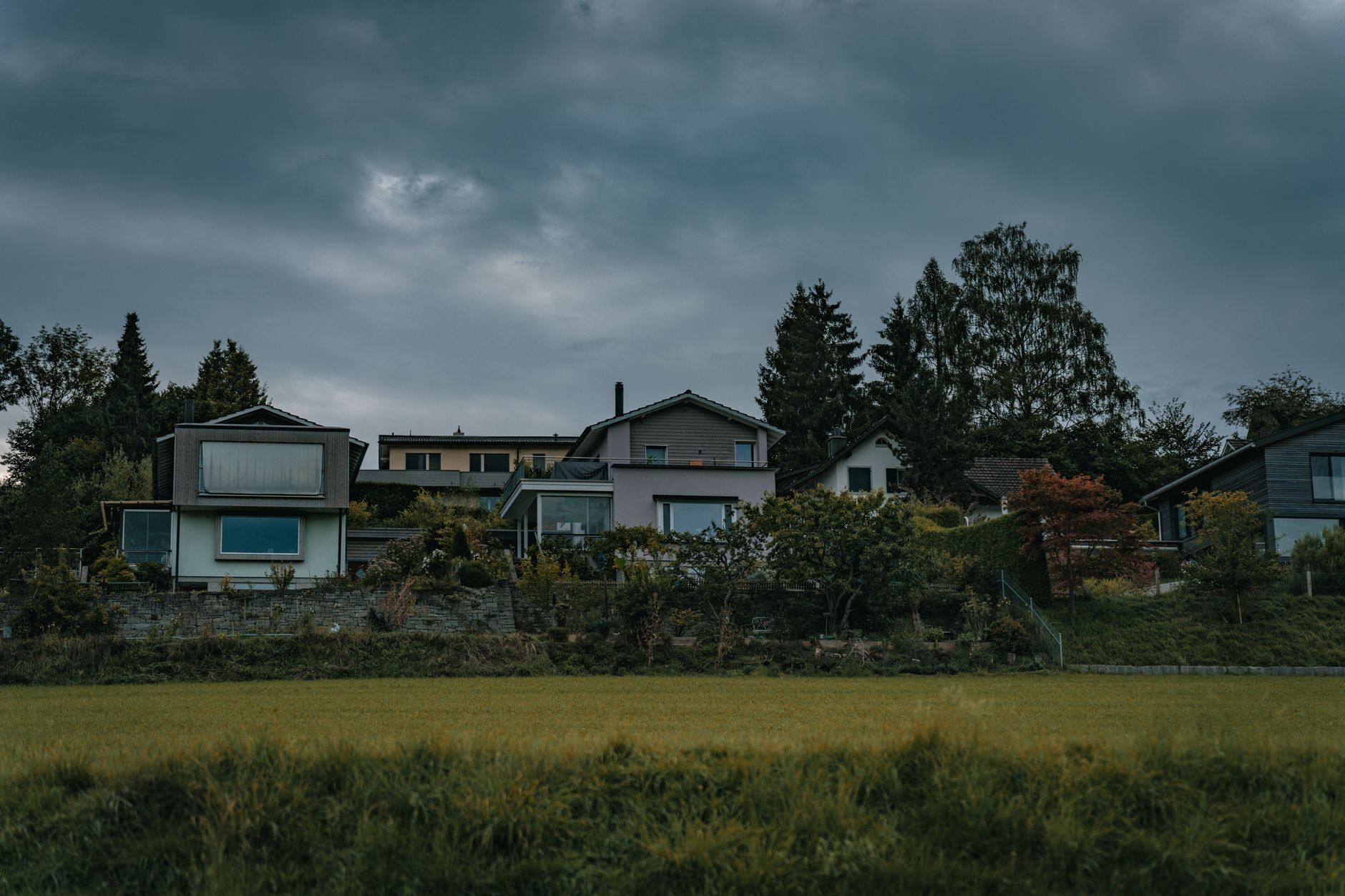 Tree-lined residential street with established homes beneath a cloudy sky