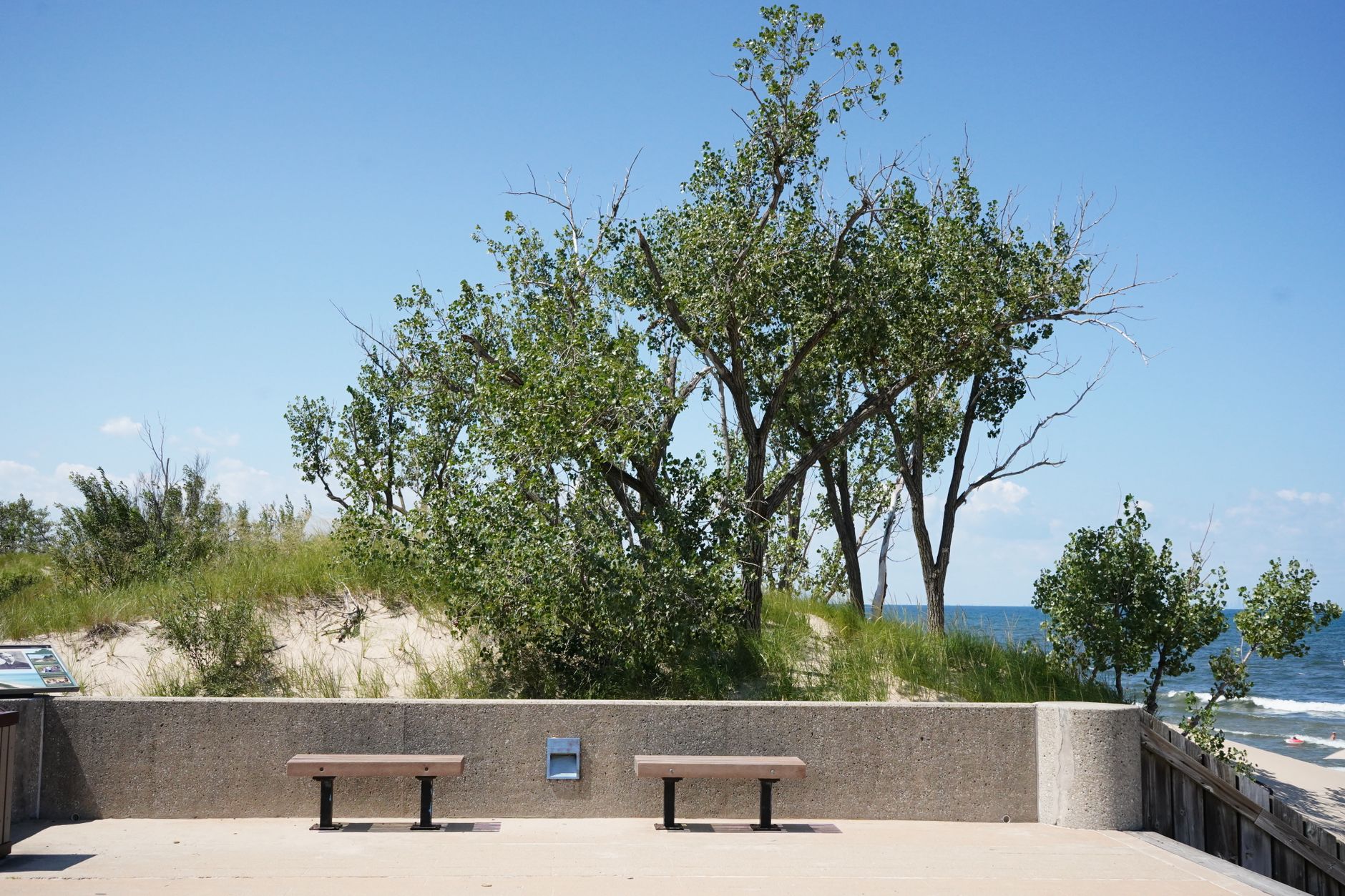 Sand dunes and greenery at Indiana Dunes National Park along Lake Michigan