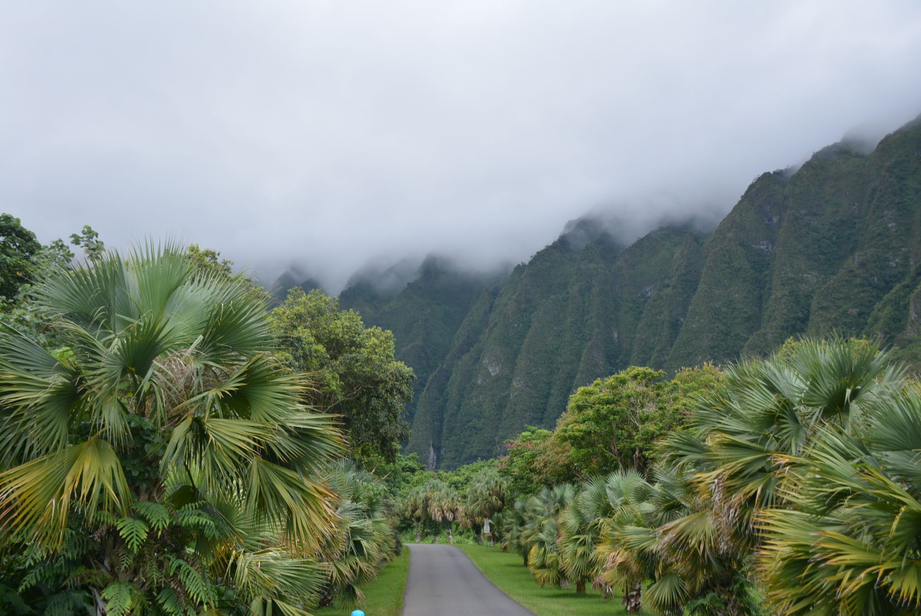 Lush Windward O‘ahu mountains and tropical landscape