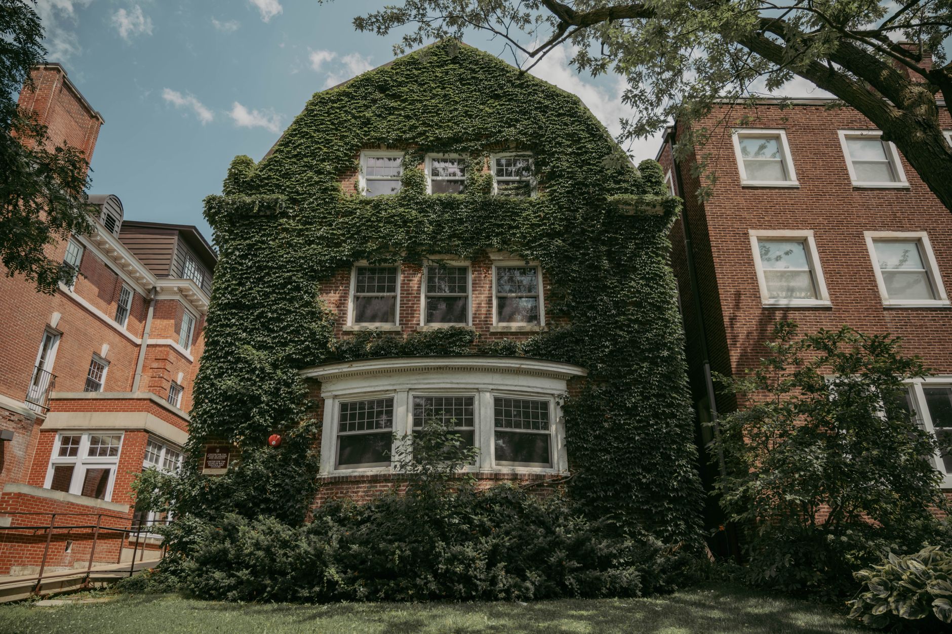 Ivy-covered residential architecture in Chicago