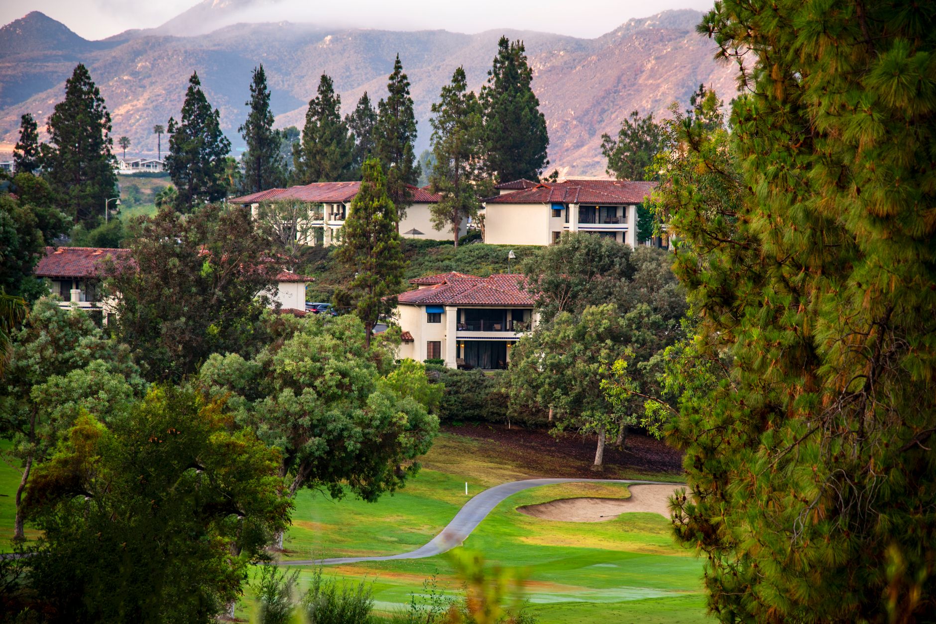 Homes among green hills in Escondido
