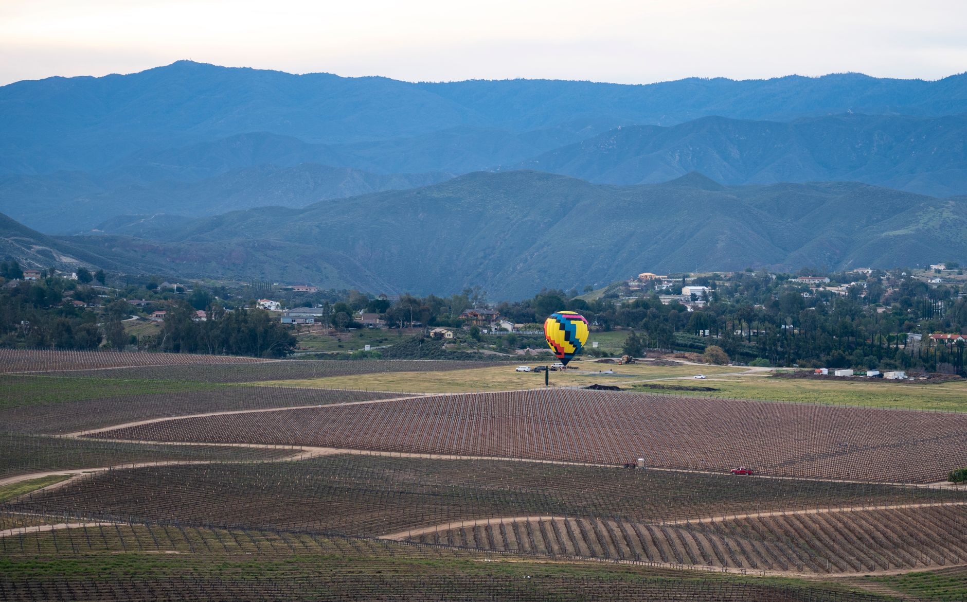 Hot air balloon above Temecula vineyards and mountains