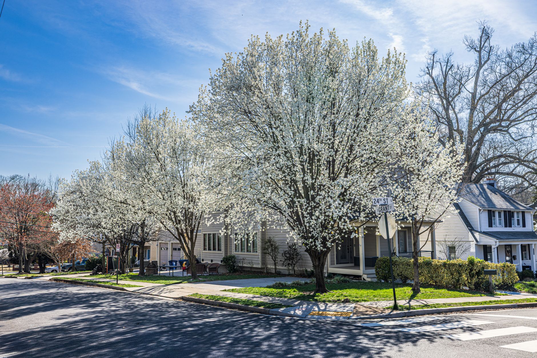 Representative view of the Chicago Northwest Suburbs
