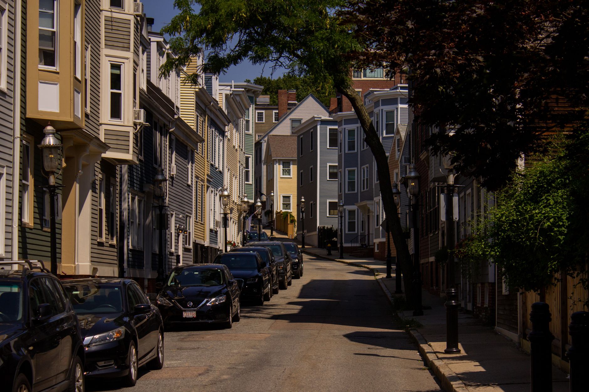 Sunny residential street lined with colorful Boston homes and leafy trees