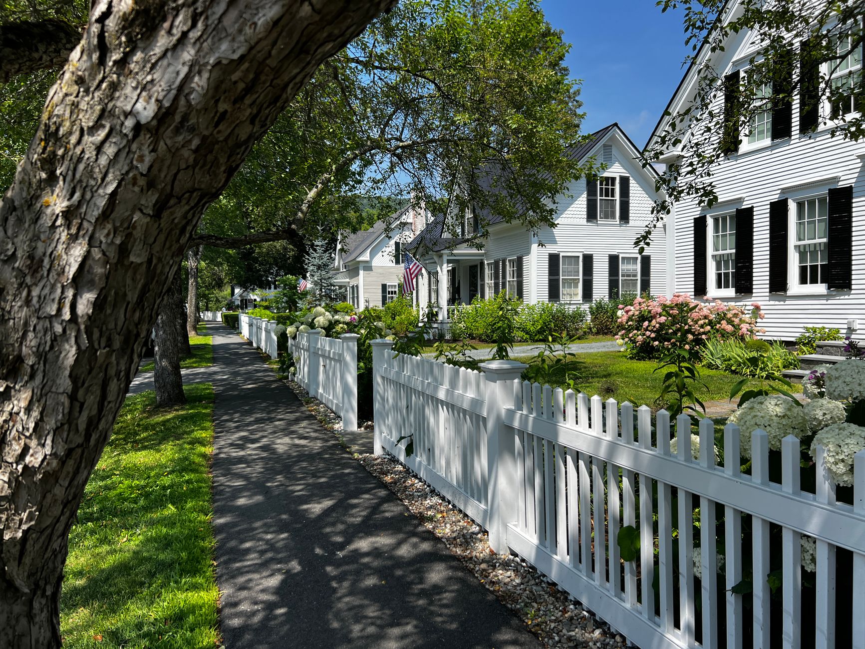 Sunny New England street with classic white homes and picket fences