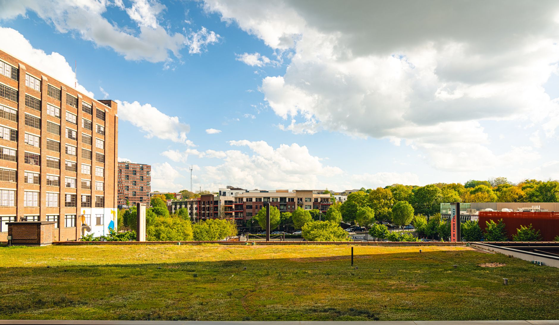 Atlanta neighborhoods and skyline framed by mature trees